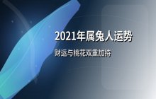 2021年属兔人财运解析：飞财机遇与桃花运双重加持