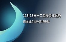 宋佳佳十二星座今日事业运势与职场运势（11月15日）